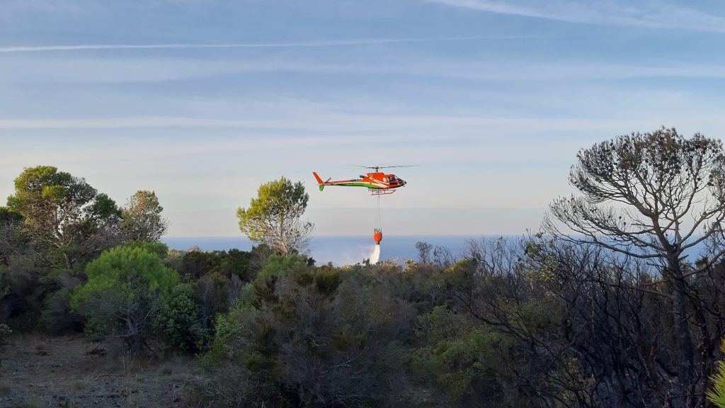 Misure di autoprotezione: INCENDI BOSCHIVI